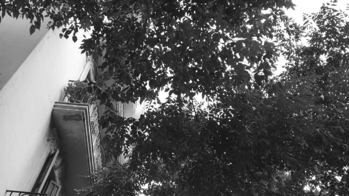 ¿QUIÉN ES QUIÉN? DÖPPELGANGER EDITION The Marcguffin's Room